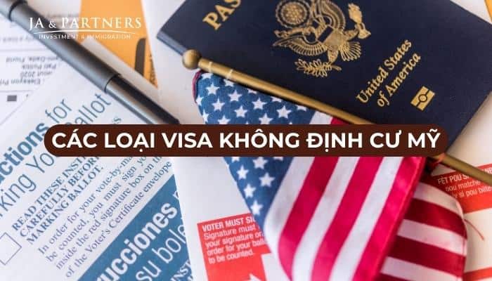 Visa không định cư Mỹ gồm những loại nào?